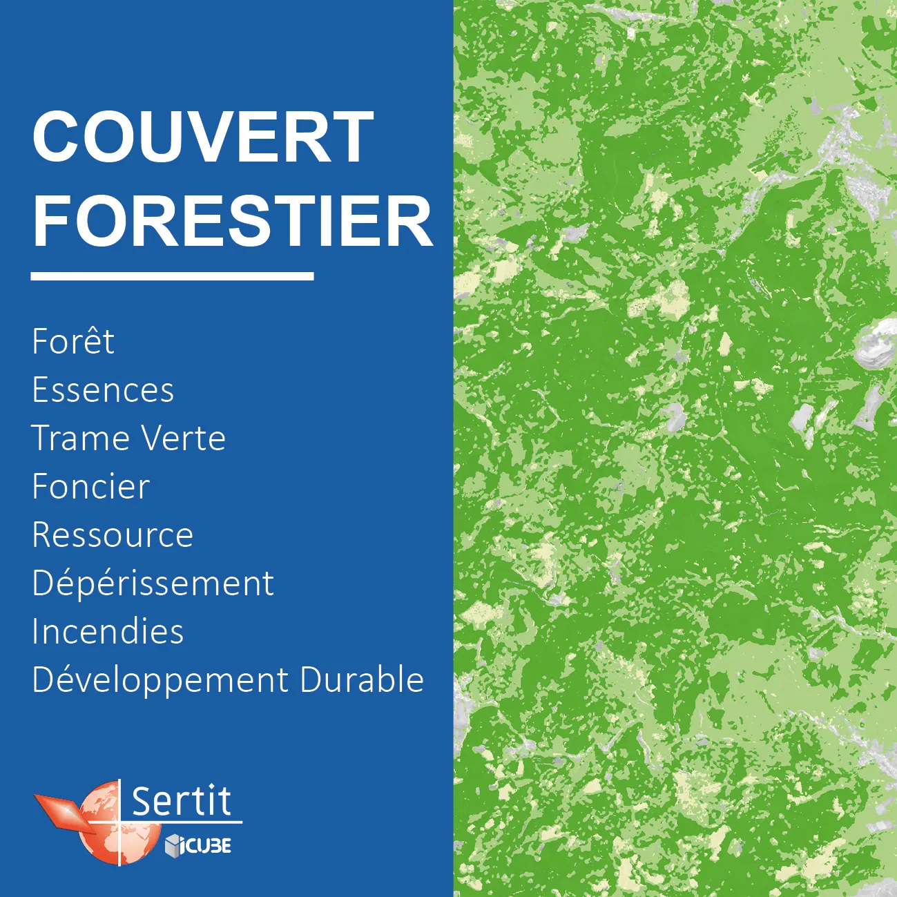 Couvert forestier: Forêt, Essences, Trame Verte, Foncier, Ressource, Dépérissement, Incendies, Développement Durable