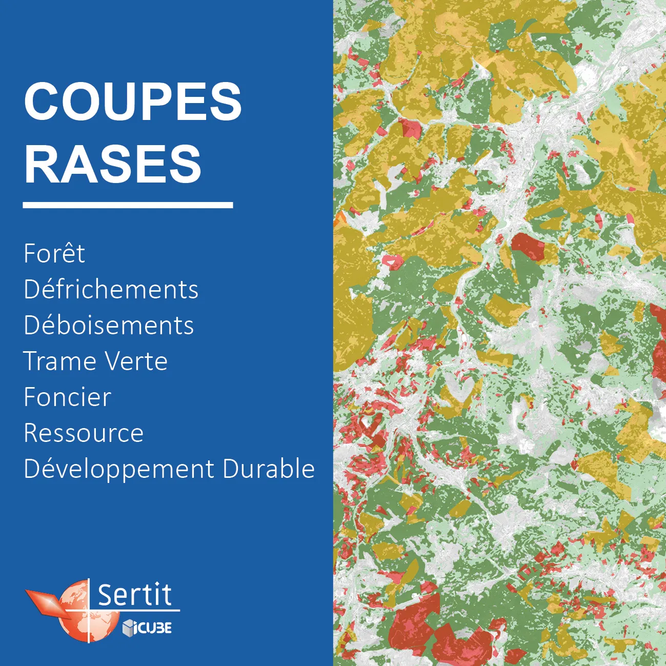 Coupes Rases: Forêt, Défrichements, Déboisements, Trame Verte, Foncier, Ressource, Développement Durable