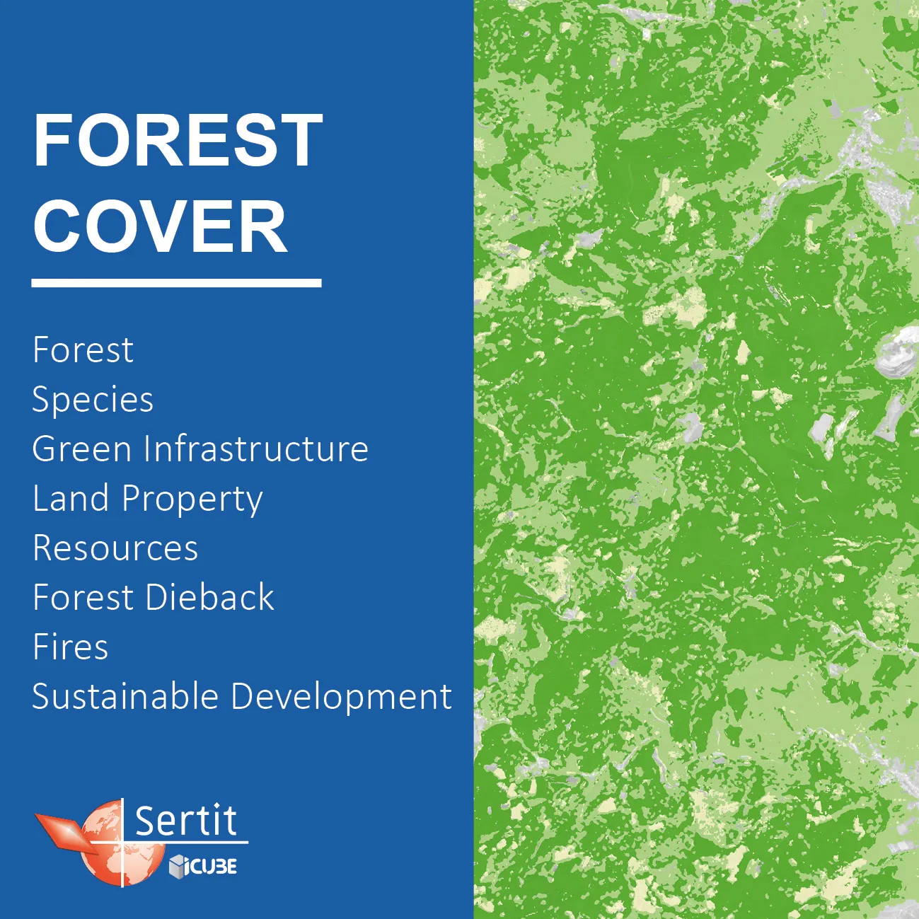 Forest Cover: Forest, Species, Green Infrastructure, Land Property, Resources, Forest Dieback, Fires, Sustainable Development