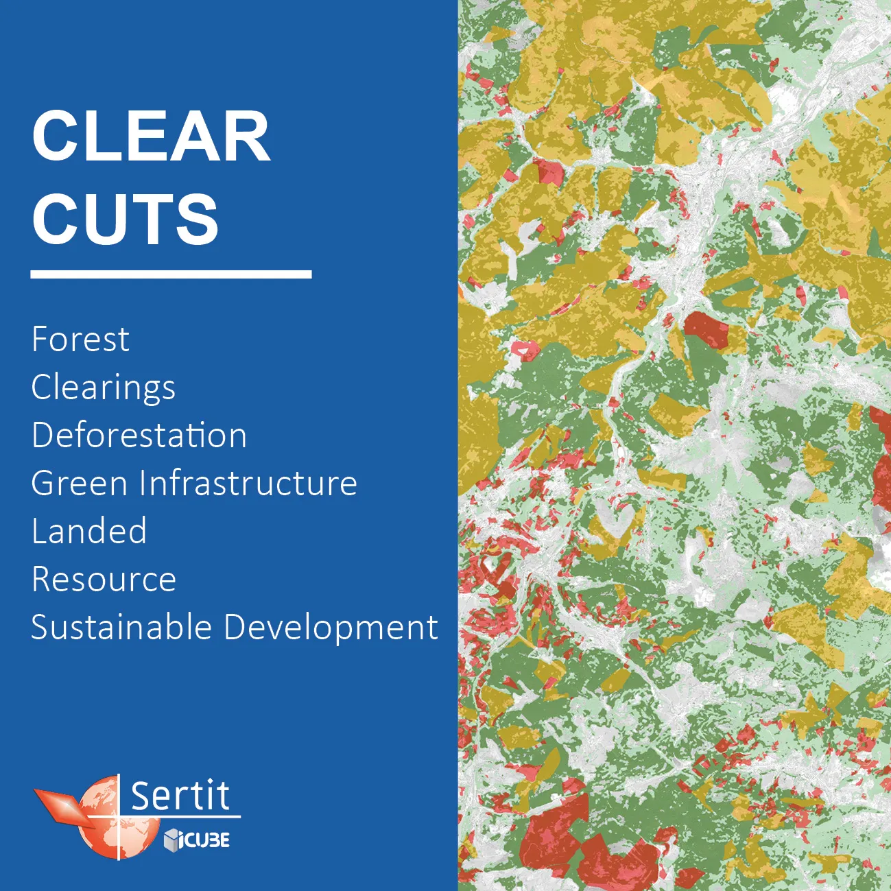 Clear Cuts: Forest, Clearings, Deforestation, Green Infrastructure, Landed, Resource, Sustainable Development
