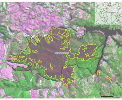 Juquery State Park Burnt area extent